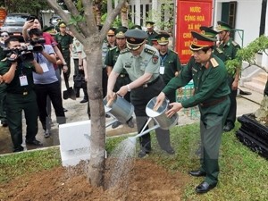 Vietnamese, Chinese armies promote links - ảnh 1